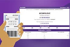 Como Conferir o Resultado da Quina