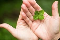 Como jogar na Mega Sena