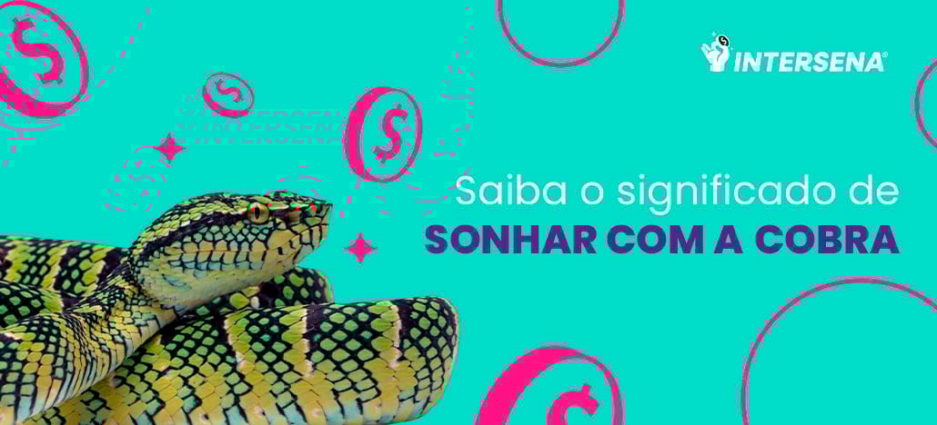 Números para quem sonha com cobra